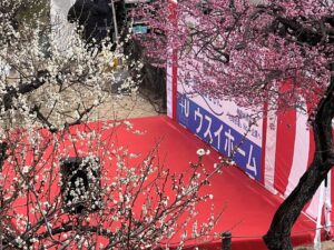 2025.02.22-02.23「第37回 大倉山観梅会」への協賛