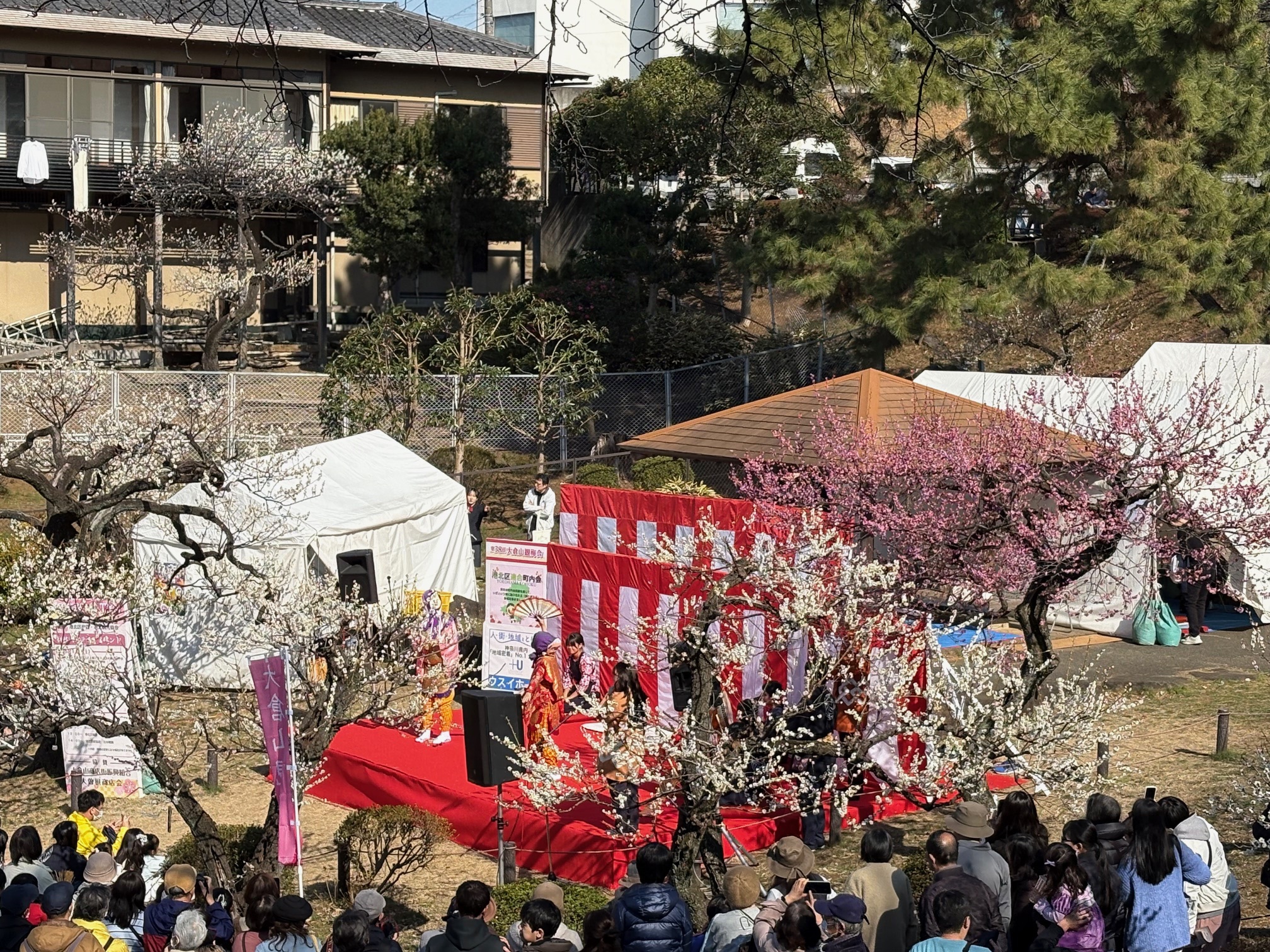 第38回大倉山観梅会ステージ引き